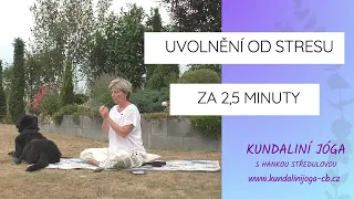 Uvolnění stresu za 2,5 minuty (Chattar Chaya Krija) - Kundaliní jóga