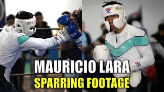 Mauricio Lara Sparring Footage