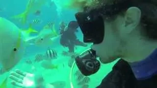 Scuba Diving in Sosua - Dominican Republic 2013