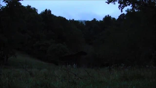 Night Time in the mountains - 10 hours of HD Frogs, Crickets, Cicadas and other insects.