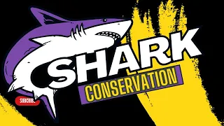 Shark Conservation: The Guardians of Oceans and Biodiversity