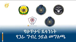 የፀጥታና ደኅንነት የጋራ ግብረ ኃይል መግለጫ