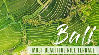 Jatiluwih Rice Terraces by Drone ~ Bali #PoppUpTheWorld