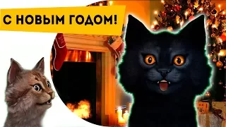 Ответы на вопросы 3 Поздравление с новым 2018 годом!