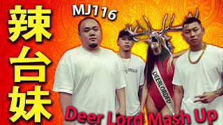 頑童 MJ116 - 辣台妹 HOT CHICK (Deer Lord Live MashUp)