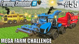 BiG Carrots HARVESTING Operation +900k Liters | MEGA FARM Ep.55 | Farming Simulator 22