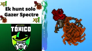 TIBIA: EK HUNT SOLO (GAZER SPECTRE) LVL 300+ 4.2KK/H 150%