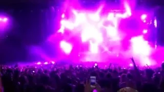 Zedd - Beautiful Now (Live at Lollapalooza 13/03/2016)