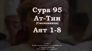 ﷽ | Сура 95  Аят 1-8| 📚 Сура : « Ат-Тин » (Смоковница) | 🎙️ Чтец : « Салим Баханан »