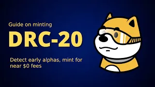 Guide on minting DRC-20 tokens