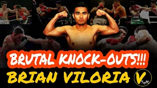 10 Brian Viloria Greatest Knockouts