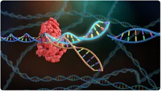 CRISPR/CAS9 e la nuova frontiera dell’editing genomico