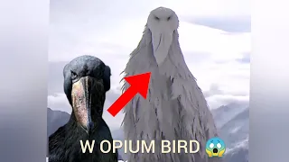 Which Opium Bird are you?