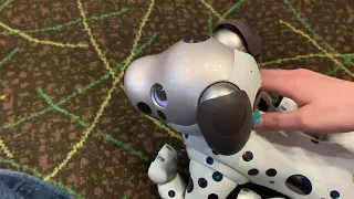 Aibo ERS 1000 Obedience Contest | Aibo Orlando 2023