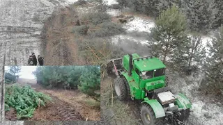 Раскорчевка полей от деревьев, кустарников, пней