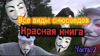 ВСЕ ВИДЫ СНЮСОЕДОВ ЧАСТЬ 2