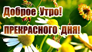 КРАСИВЫЕ ПЕСНИ ОБО ВСЁМ...ДОБРОЕ УТРО! ПРЕКРАСНОГО ДНЯ!