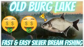 Russian Fishing 4 Active Bream Spot Fast & Easy Silver Old Burg Lake