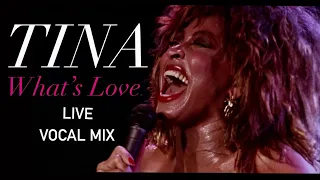 Tina Turner - ‘What’s Love’ - Vocal Mix 🎧 (2021)