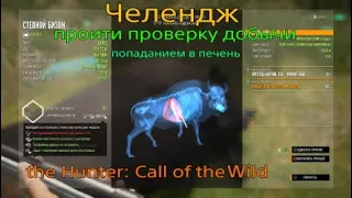 Челендж Пройти проверку добычи попаданием в печень |The Hunter Call of the Wild