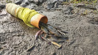 Amazing Fishing Technique-Smart boy Catching Fish Using Old PVC Pipe-New Fishing Idea