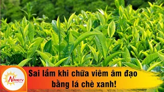 Sai lầm khi chữa viêm âm đạo bằng lá chè xanh!