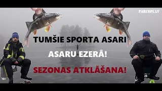 Tumšie sporta asari Asaru ezerā!