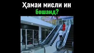 САБРИНАИ НАЗРИ ХУДША ТЕМА КАДАЙ.