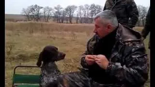 Собака принесла бутылку водки