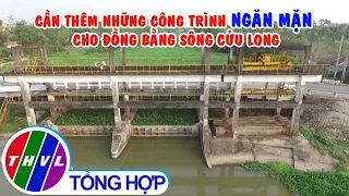 Cần thêm những công trình ngăn mặn cho ĐBSCL