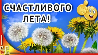 Я желаю тебе летнего настроения! Пожелания друзьям. Красивое видео