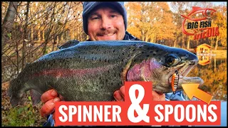 So wird's gemacht: Mit Spoon und Spinner auf Forelle angeln- Gregor trifft den Profi | GEWINNSPIEL