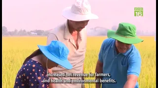 GHG emissions mitigation through sustainable rice production [VTC 16]