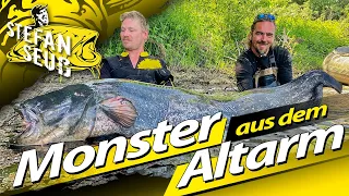 Monster WELS im Altarm | Wallerangeln in stehenden Gewässern | Achtung Wassersportler!!!