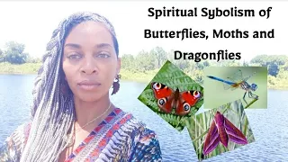 Spiritual Sybolism of Butterflies, Moths and Dragonflies