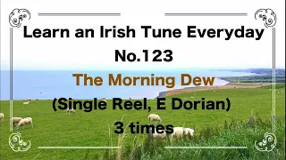 123 The Morning Dew (Single Reel, E Dorian)