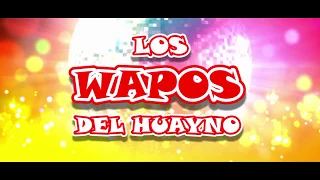 LOS WAPOS DEL HUAYNO EN VIVO  MIX CUMBIAS