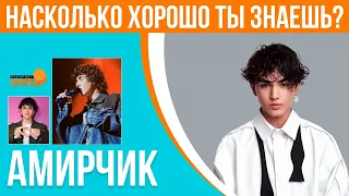 АМИРЧИК | Насколько хорошо ты знаешь 🧠 | Узнай о ЗВЕЗДЕ ⭐⭐⭐