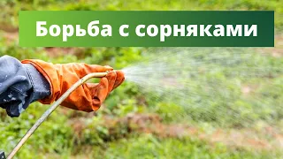 ИЗБАВЬТЕСЬ ОТ СОРНЯКОВ НАВСЕГДА! Борьба с многолетними сорняками на участке