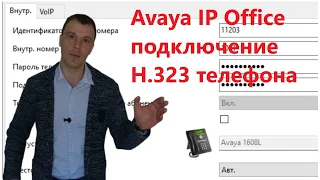 Avaya IP Office. Подключение h323 телефона.