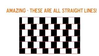 8 MIND-BLOWING Optical Illusions - THESE ARE ALL STRAIGHT LINES