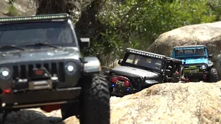 1/10 Scale SCX10-III TRX4 | Jeep WRANGLER  JK & JL | Off-road adventure