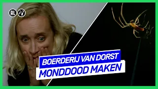 De onverwoestbare Eva | Boerderij van Dorst | NPO 3 TV