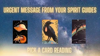 Urgent Messages From Your Spirit Guides 🕊 Pick a Card Reading