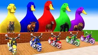 5 Giant Duck, Monkey, Piglet, chicken, cat, dog, cow, lion, Sheep Transfiguration funny animal 2023