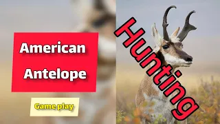 New Hunting American Antelope