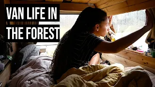 A Day in the Forest | Van Life in the South