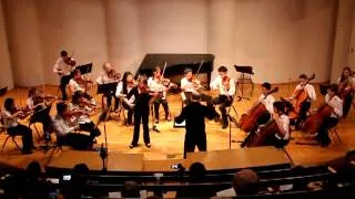 Zigeunerweisen (Gypsy Airs), op. 20 by Pablo de Sarasate