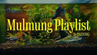 𝐏𝐥𝐚𝐲𝐥𝐢𝐬𝐭 하루의 끝, 조용히 혼자 멍 때리고 싶을 때🫧 ㅣ Mulmung Playlist by TAEYONG🌿🐟