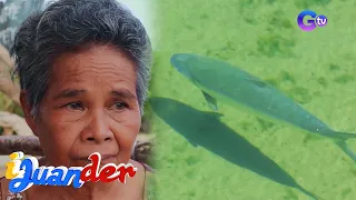 Isang buong pamilya, namatay dahil diumano sa pagkain ng misteryosong isda | iJuander